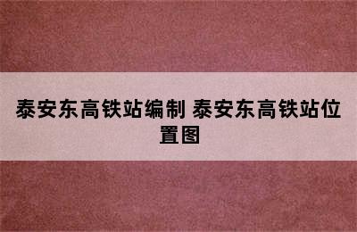 泰安东高铁站编制 泰安东高铁站位置图